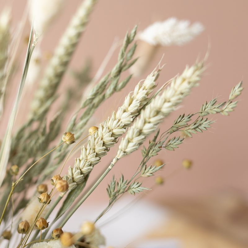 backend-media_library.no_image_found