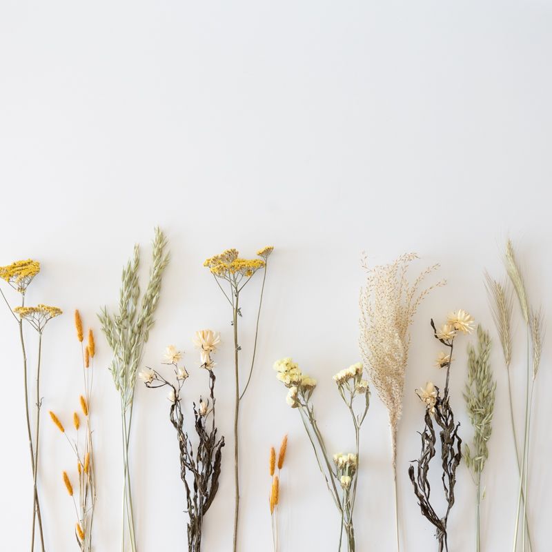 backend-media_library.no_image_found