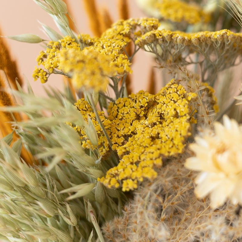 backend-media_library.no_image_found