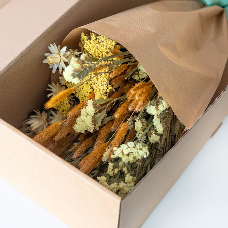 backend-media_library.no_image_found