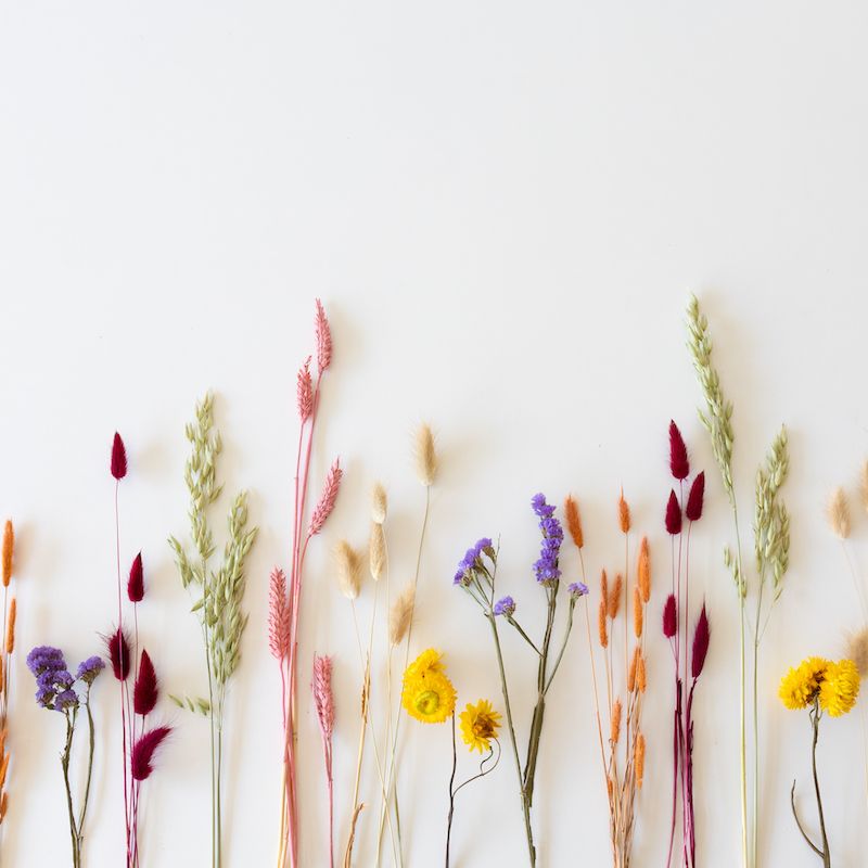 backend-media_library.no_image_found