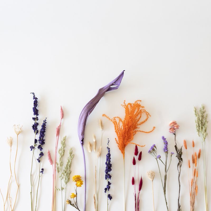 backend-media_library.no_image_found