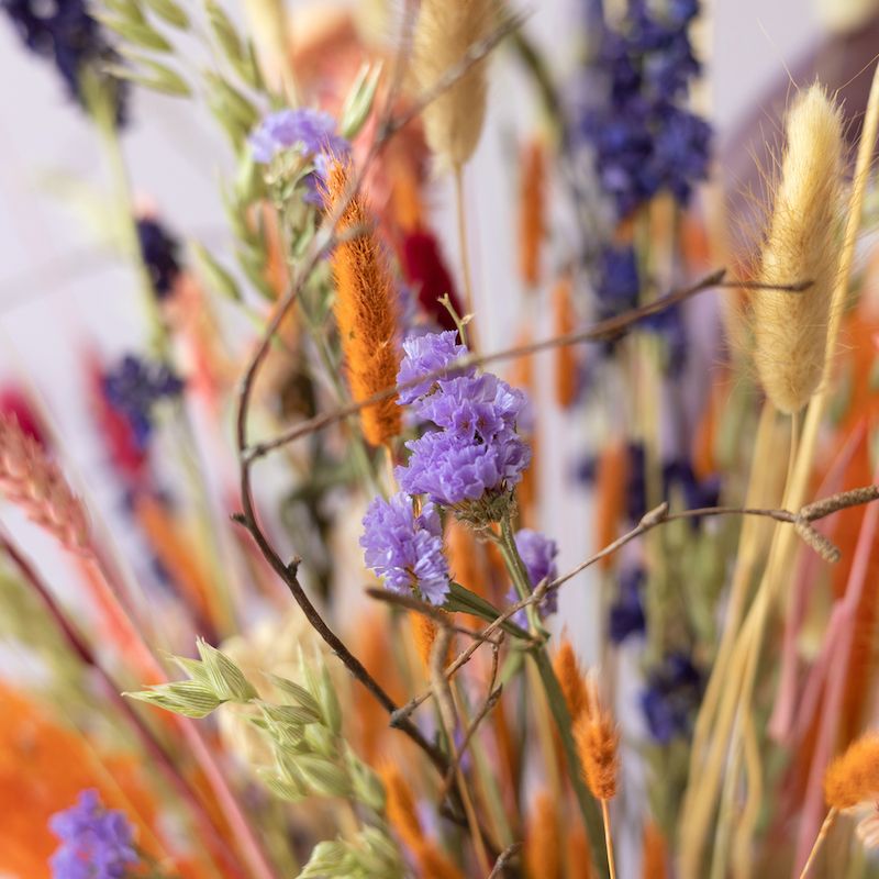 backend-media_library.no_image_found