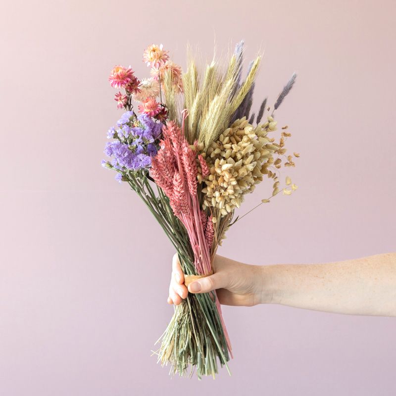 backend-media_library.no_image_found