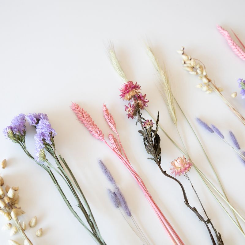 backend-media_library.no_image_found