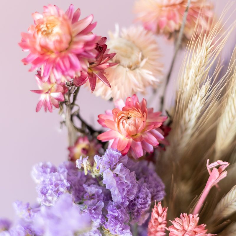 backend-media_library.no_image_found