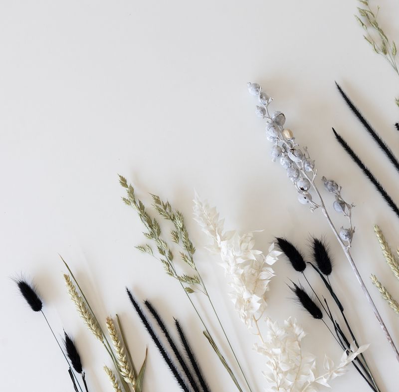 backend-media_library.no_image_found