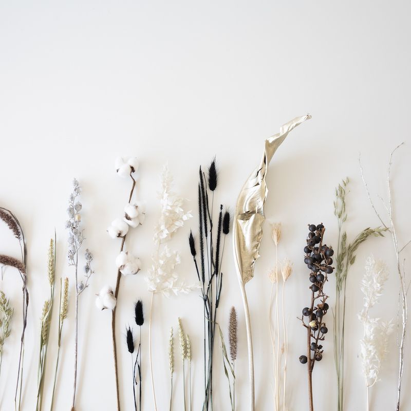 backend-media_library.no_image_found