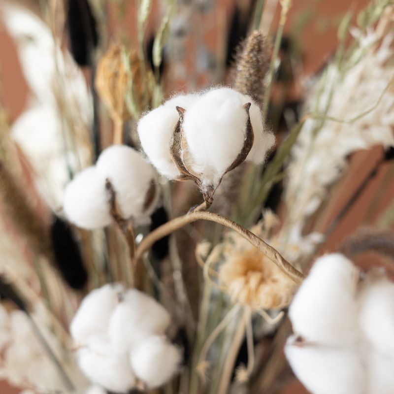 backend-media_library.no_image_found