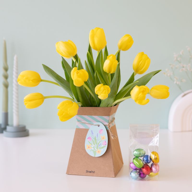 backend-media_library.no_image_found