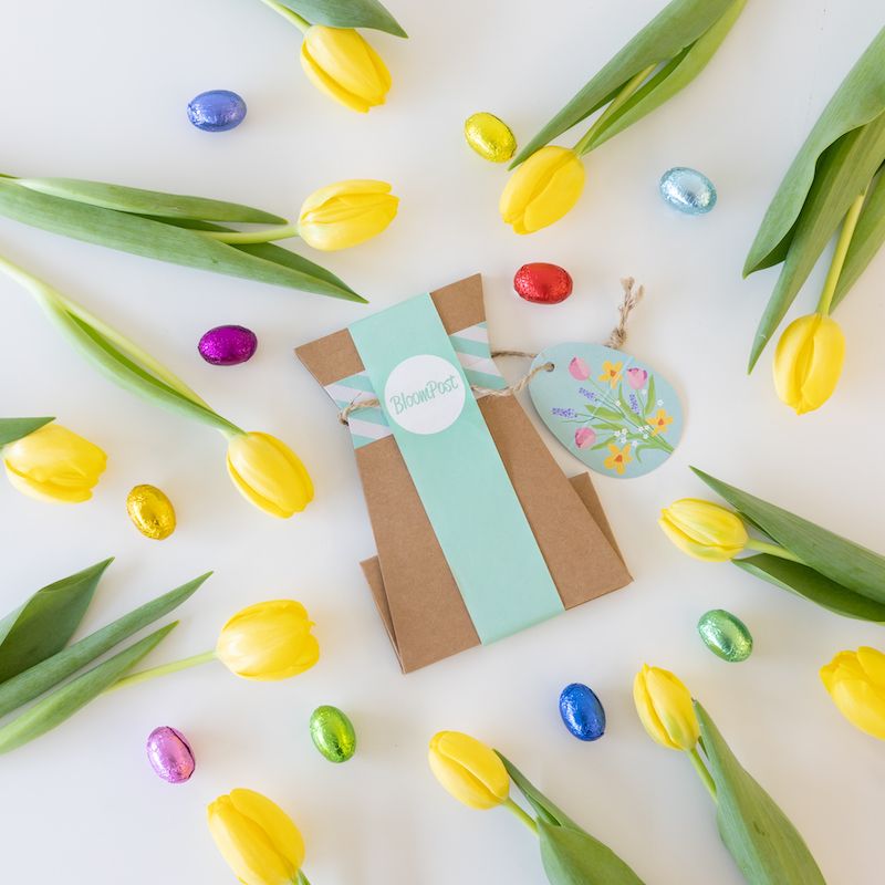 backend-media_library.no_image_found