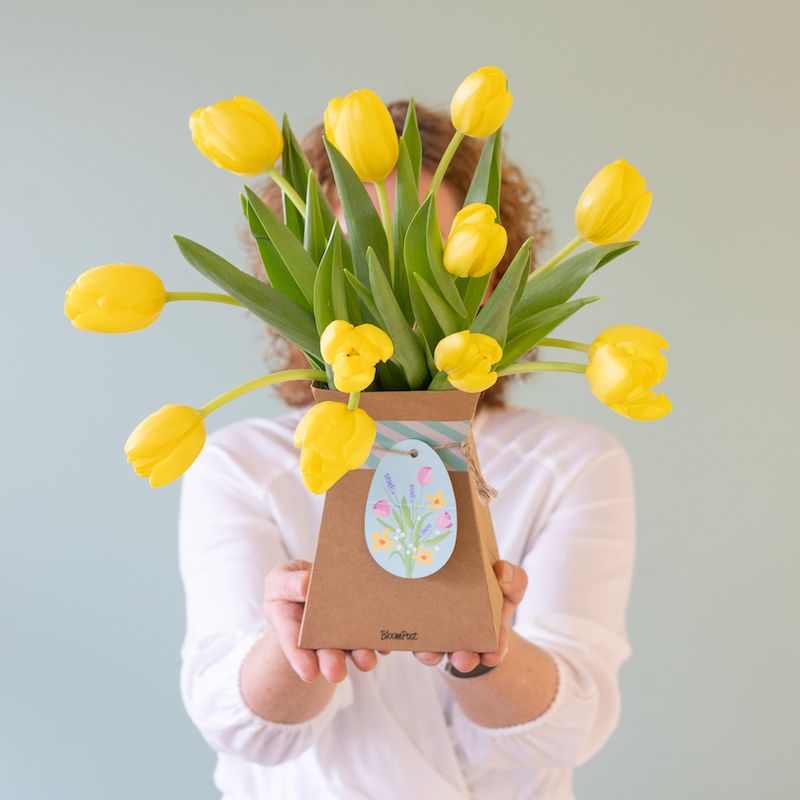 backend-media_library.no_image_found