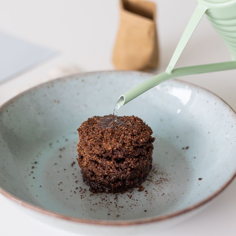 Hoera pakketje met zaden van de Cosmea