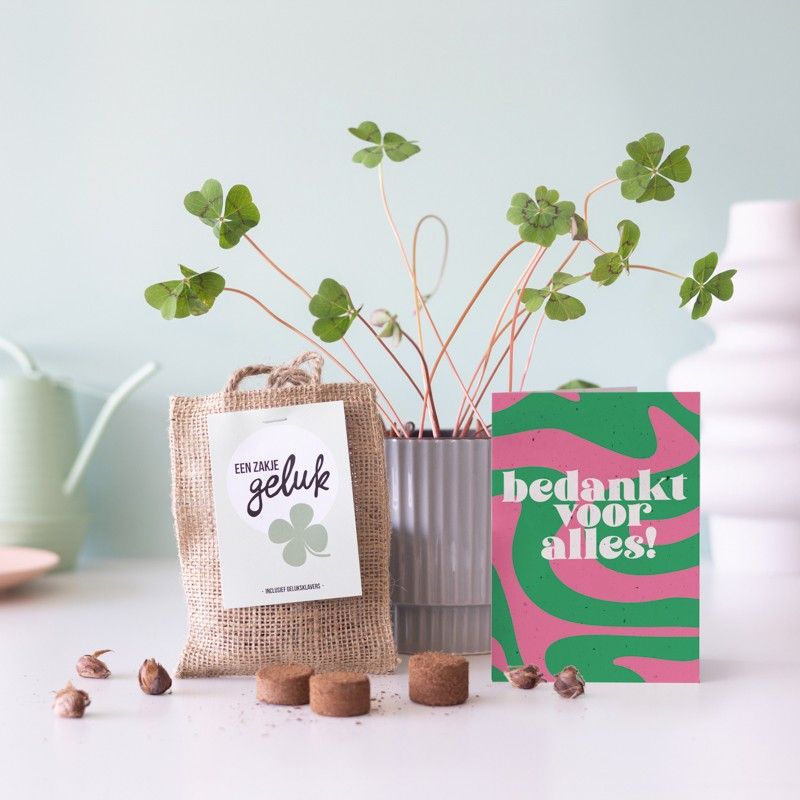 Een jute zakje met het label 'Een zakje geluk', gevuld met klavertje vier bollen, liggend in de verpakking.