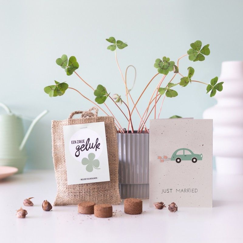 Een bloempot met klavertjes vier, een juten zakje ervoor met klavertje vier bollen erin. Ernaast staat een wenskaart met 'just married met een auto erbij'.