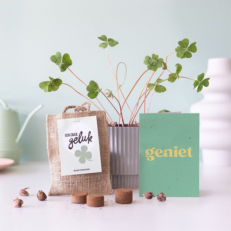 Een bloempot met klaver vier plantjes, een juten zakje ervoor gevuld met klavertje vier bollen en een wenskaart met 'geniet' erop geschreven.