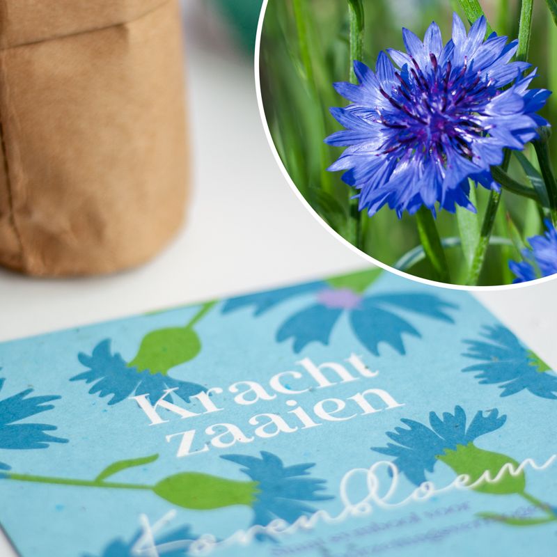 Blauw doosje met zaden van korenbloemen met de tekst kracht zaaien erop