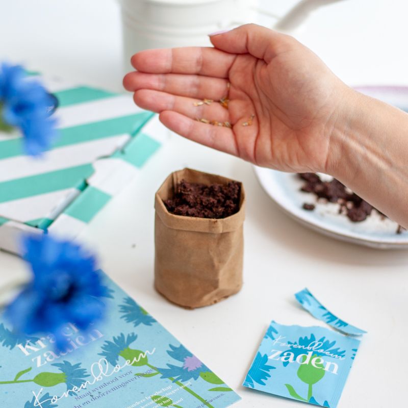 Blauw doosje met zaden van korenbloemen met de tekst kracht zaaien erop