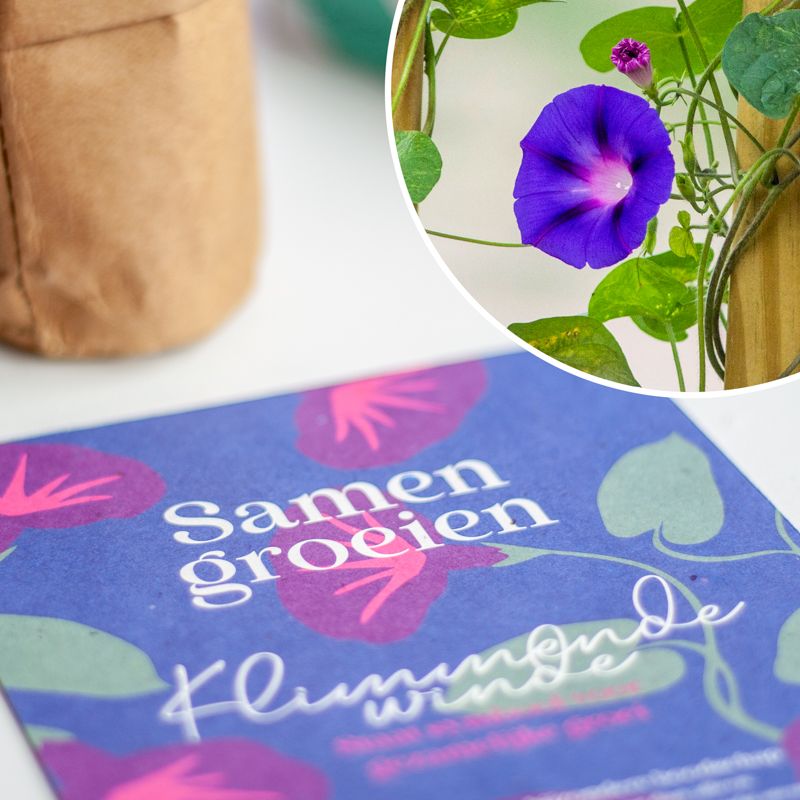 Paars doosje met Klimmende Winde zaden met de tekst samen groeien erop