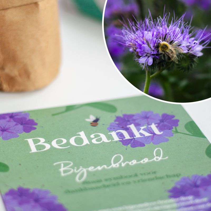 Groen paars doosje bijenbrood met de tekst bedankt erop