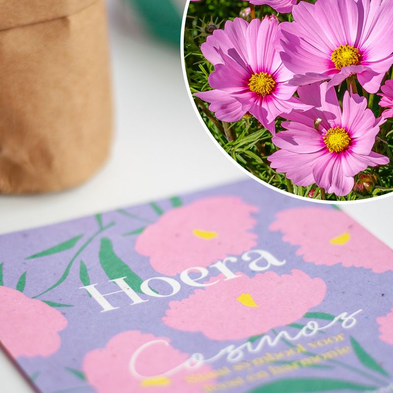 Close-up foto van de inlay met Cosmos illustratie en de tekst 'Hoera'. Rechtsboven een foto van de bloemen. 