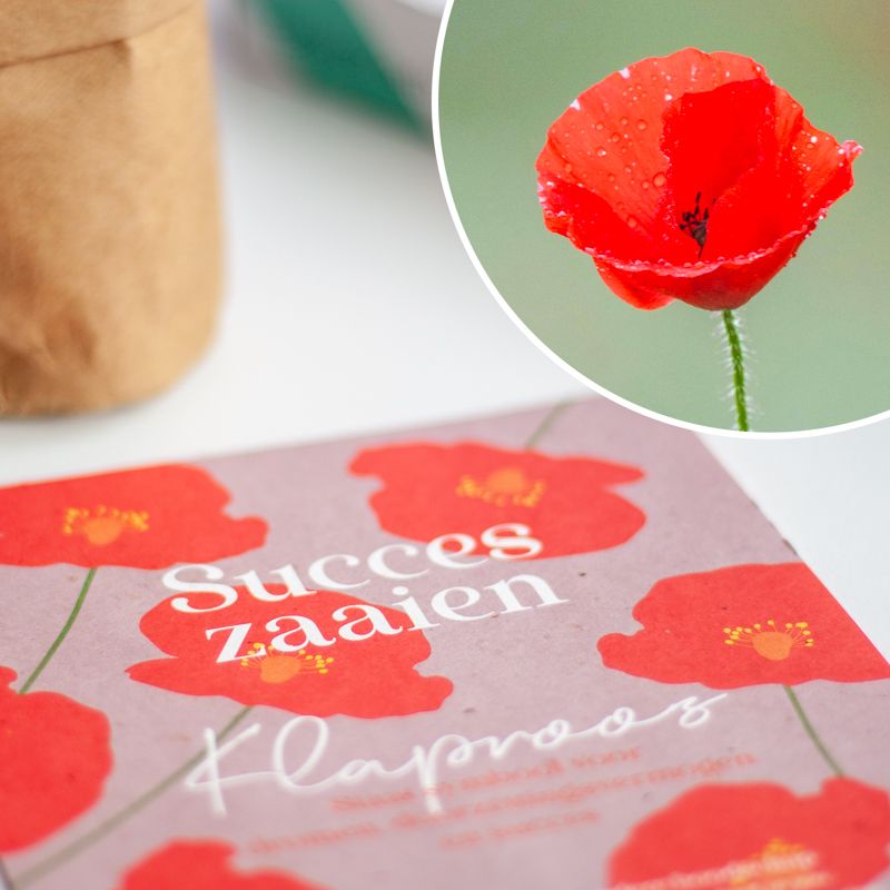 Rood paars doosje met klaproos zaden met daarbij de tekst succes zaaien