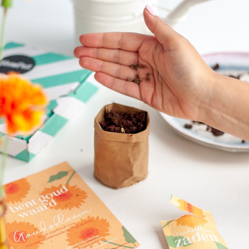 Oranje doosje met goudsbloem zaden met daarbij de tekst je bent goud waard