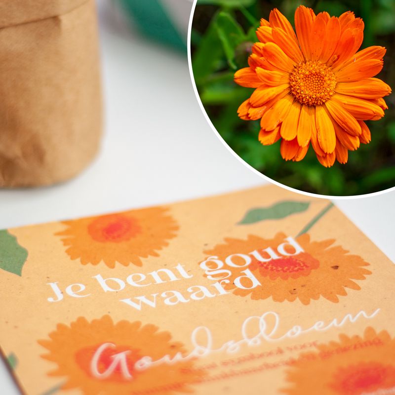 Oranje doosje met goudsbloem zaden met daarbij de tekst je bent goud waard