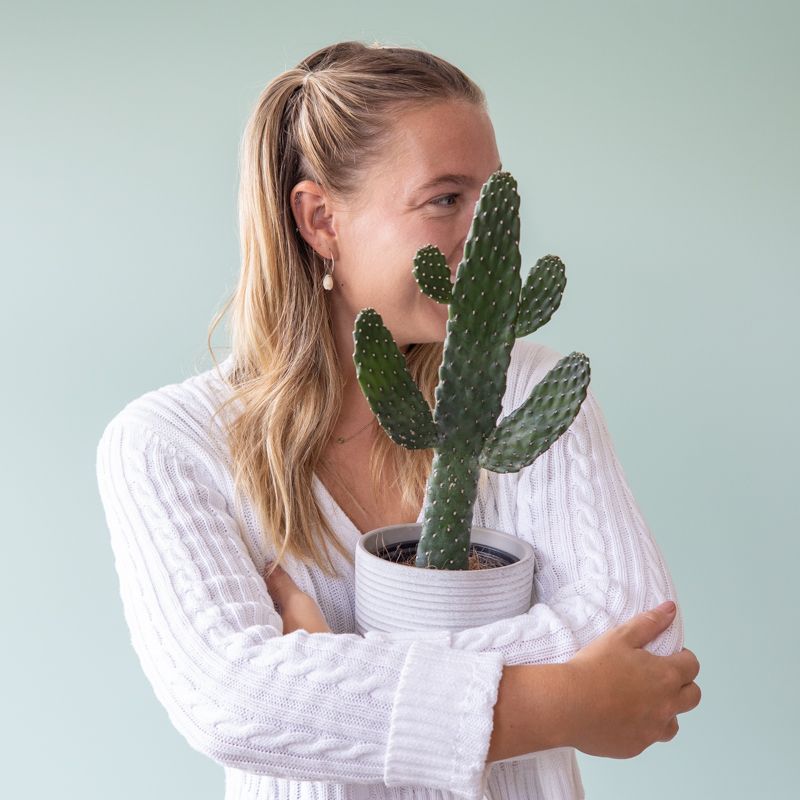 backend-media_library.no_image_found