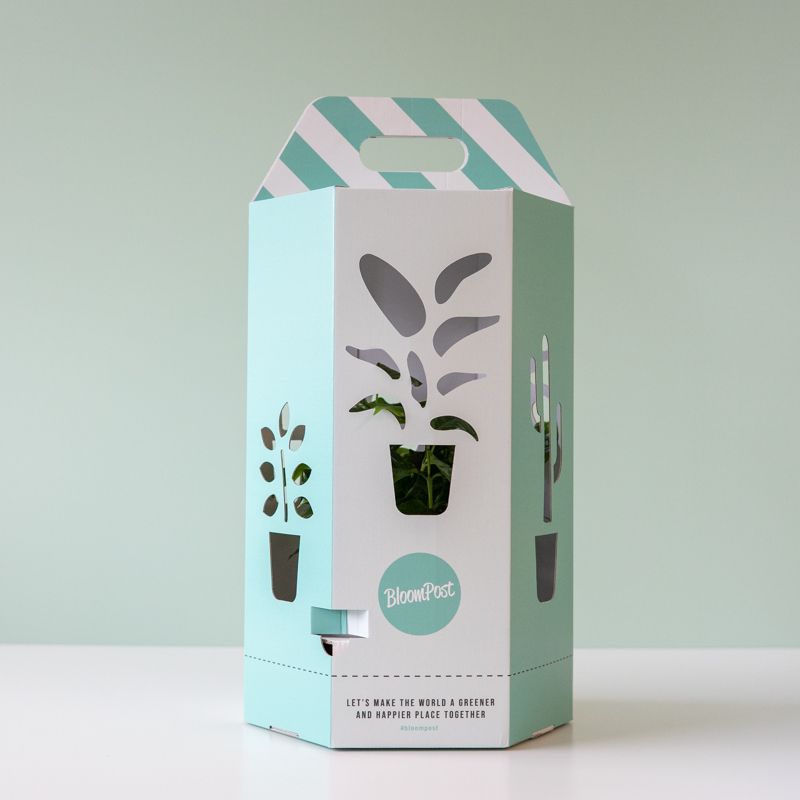 backend-media_library.no_image_found