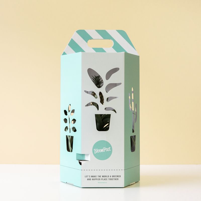 backend-media_library.no_image_found