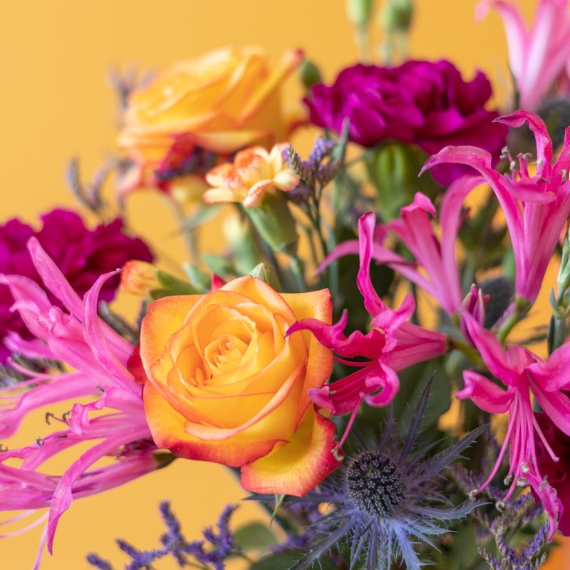 backend-media_library.no_image_found