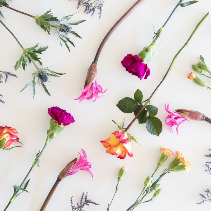 backend-media_library.no_image_found