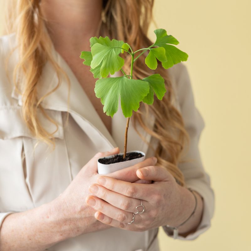 backend-media_library.no_image_found