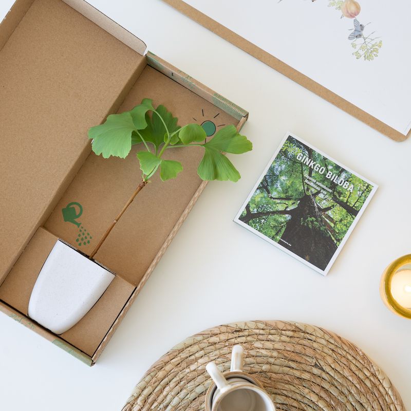 backend-media_library.no_image_found