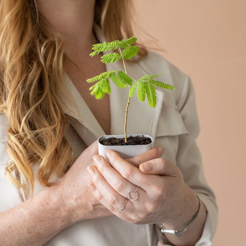 backend-media_library.no_image_found