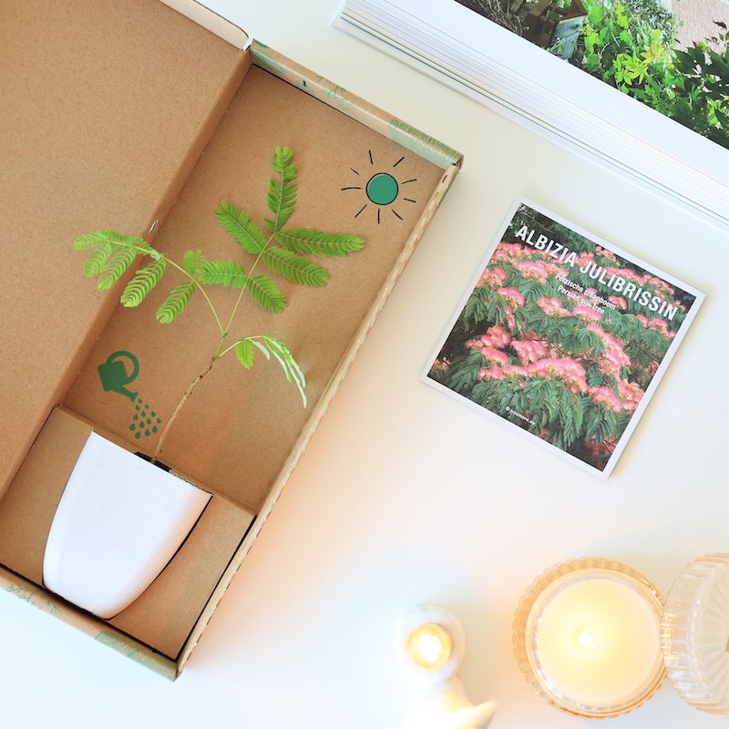 backend-media_library.no_image_found