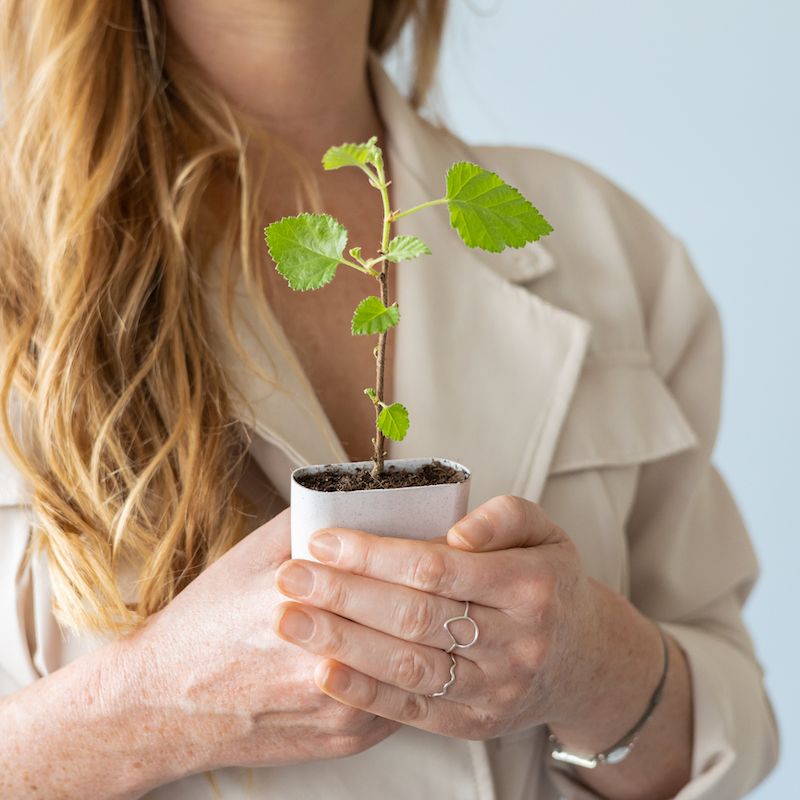 backend-media_library.no_image_found