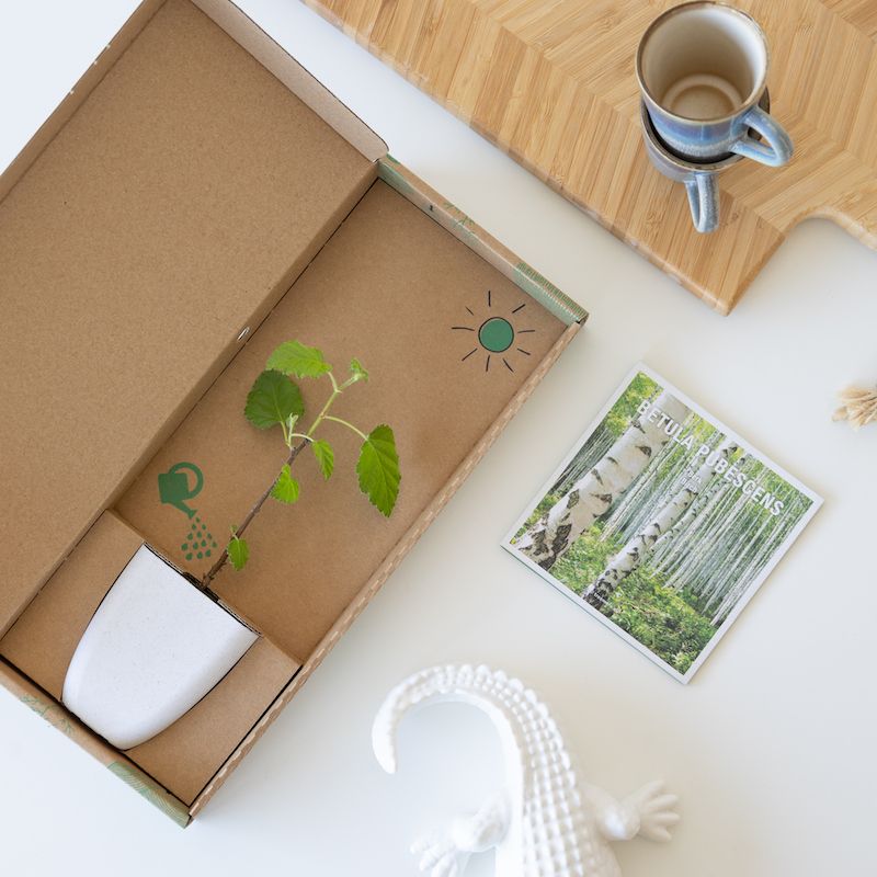 backend-media_library.no_image_found