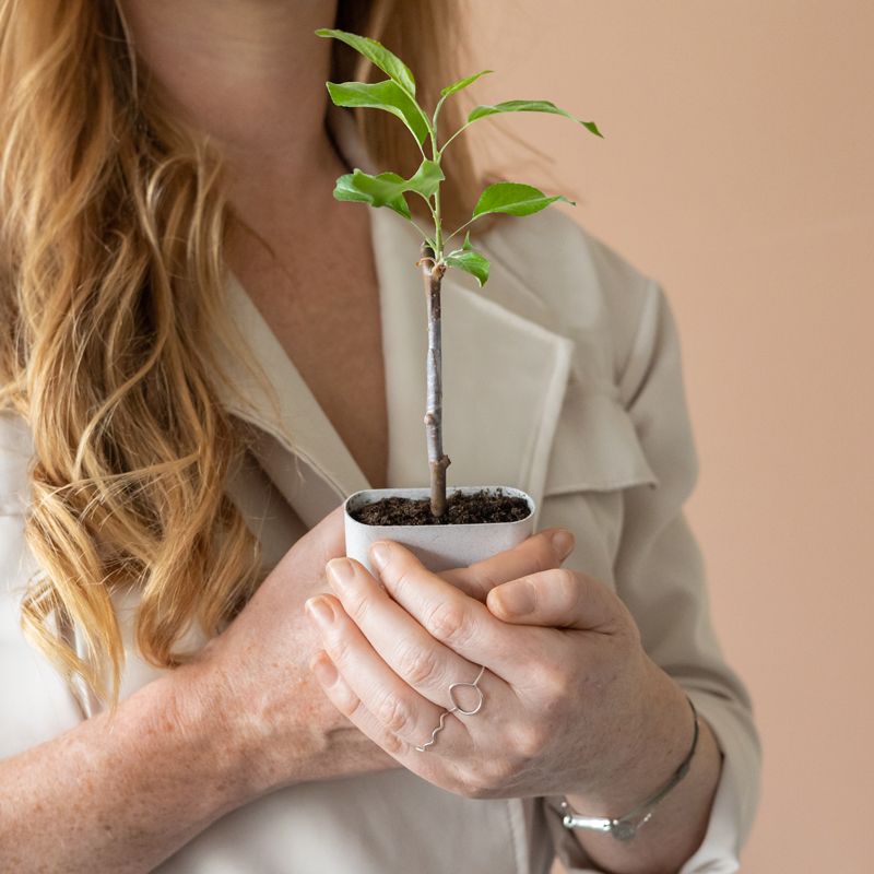 backend-media_library.no_image_found