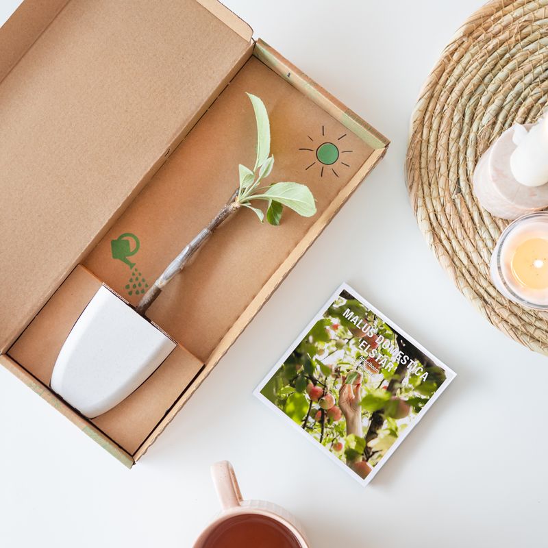 backend-media_library.no_image_found