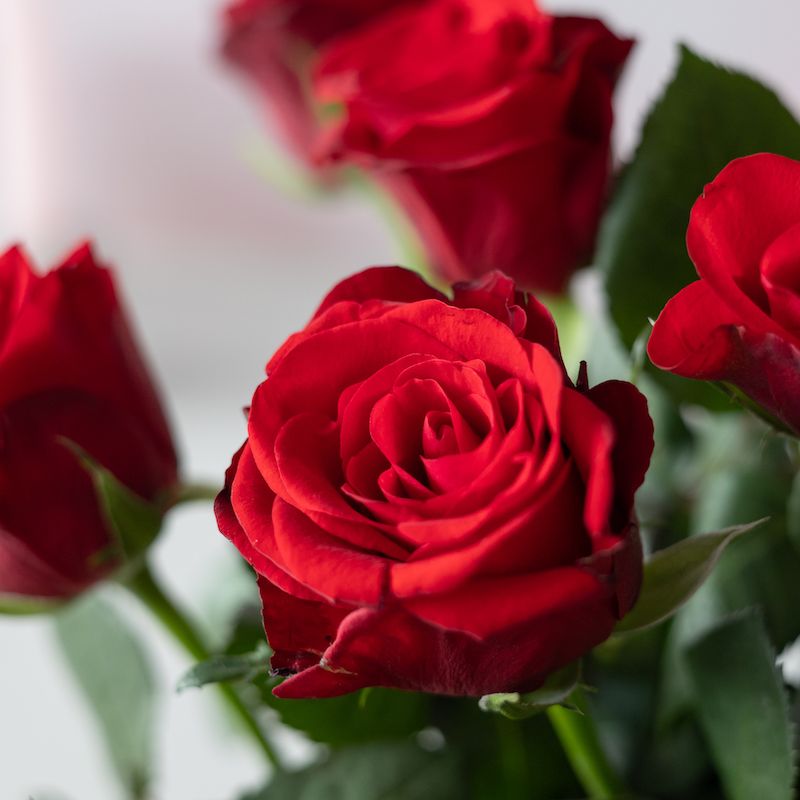 love-in-a-box-red-valentine