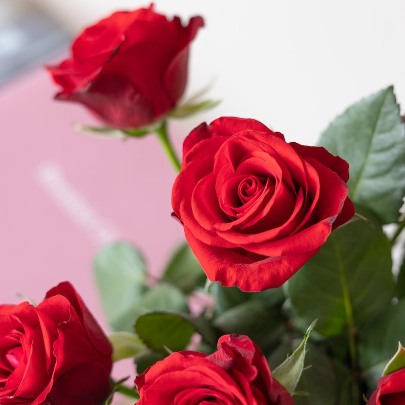 love-you-more-than-choco-red-valentine