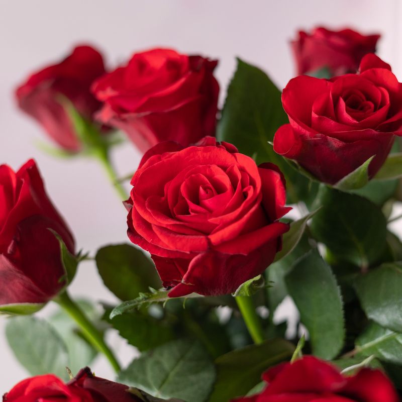 liefdesarmband-rood-valentijn