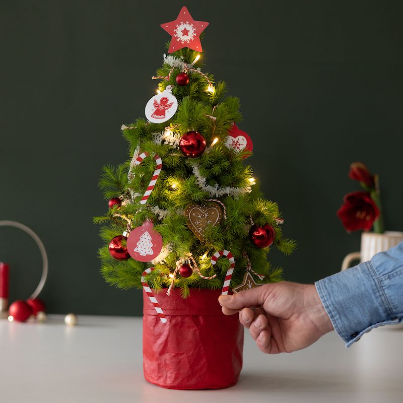 backend-media_library.no_image_found