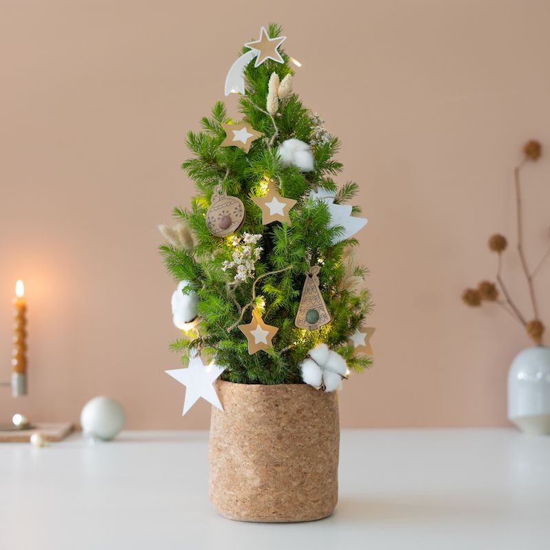 backend-media_library.no_image_found