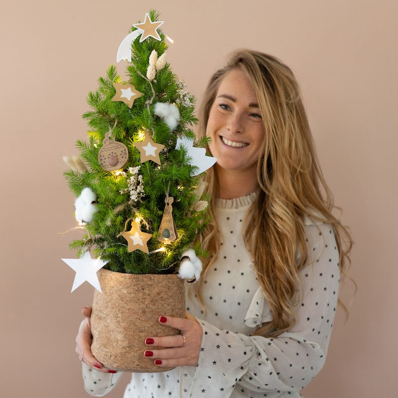 backend-media_library.no_image_found