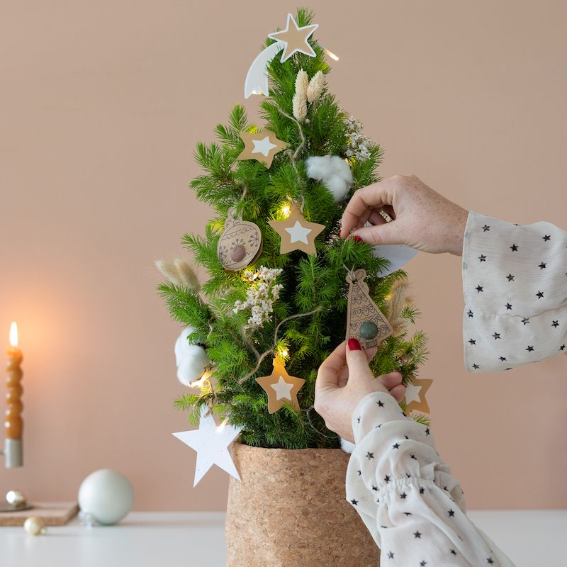 backend-media_library.no_image_found