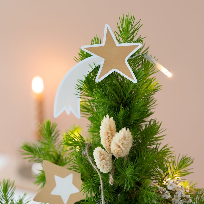 backend-media_library.no_image_found