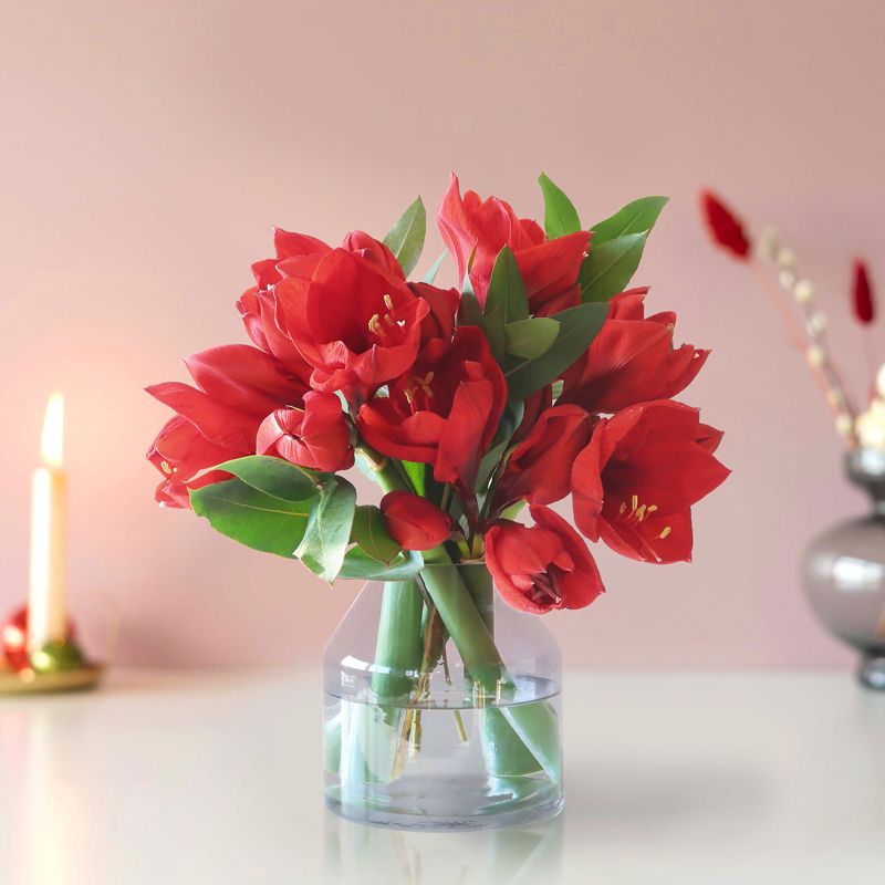 backend-media_library.no_image_found